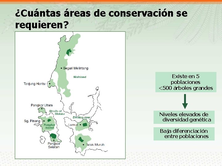 ¿Cuántas áreas de conservación se requieren? Existe en 5 poblaciones <500 árboles grandes Niveles