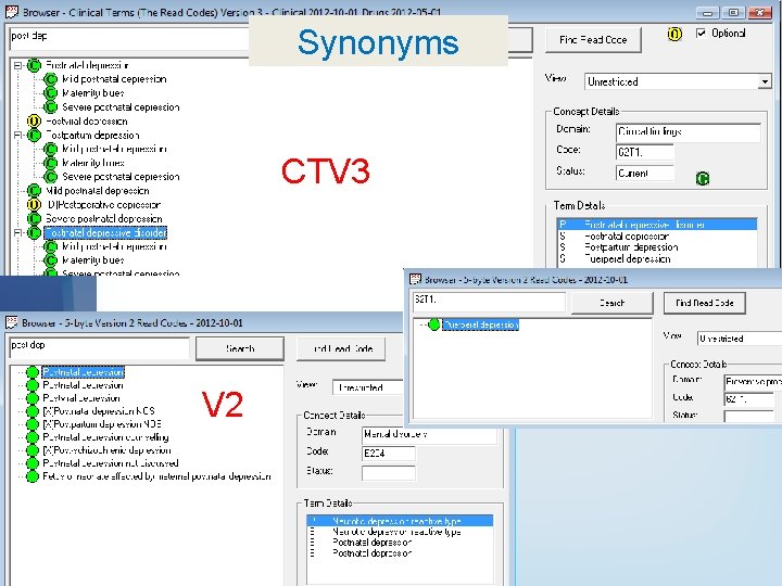 Synonyms CTV 3 V 2 