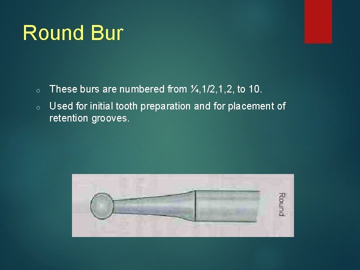 Round Bur o These burs are numbered from ¼, 1/2, 1, 2, to 10.