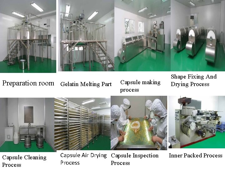 Preparation room Gelatin Melting Part Capsule Cleaning Process Capsule making process Capsule Air Drying