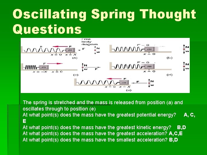 Oscillating Spring Thought Questions The spring is stretched and the mass is released from