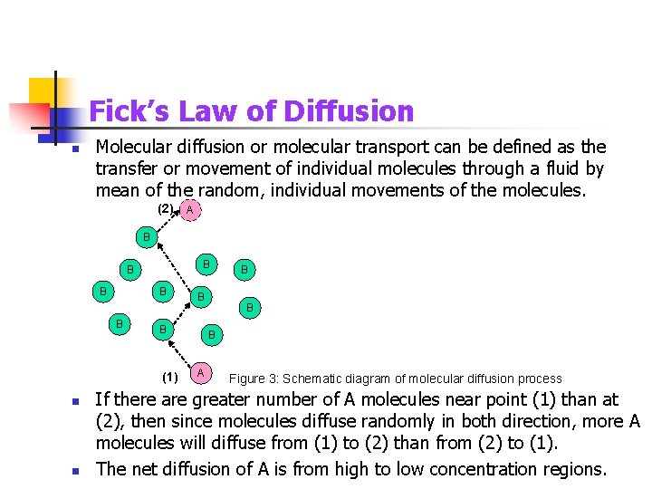 Fick’s Law of Diffusion n Molecular diffusion or molecular transport can be defined as