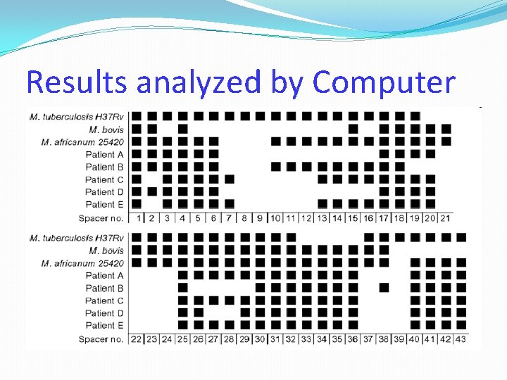 Results analyzed by Computer 