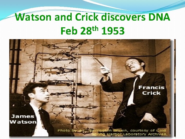 Watson and Crick discovers DNA Feb 28 th 1953 