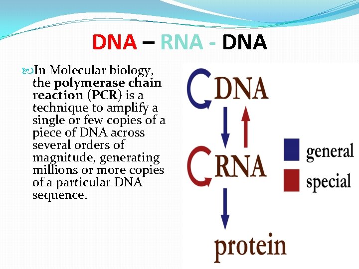DNA – RNA - DNA In Molecular biology, the polymerase chain reaction (PCR) is