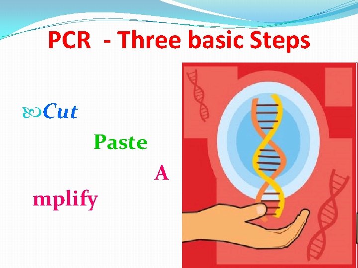 PCR - Three basic Steps Cut Paste mplify A 