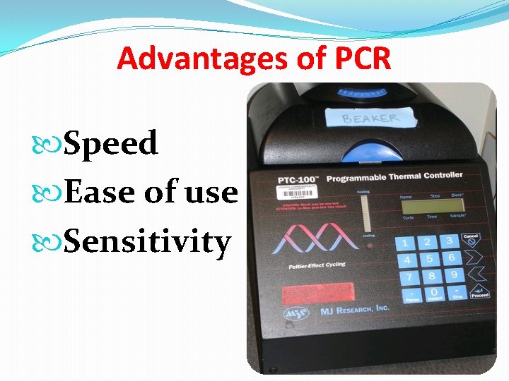 Advantages of PCR Speed Ease of use Sensitivity 