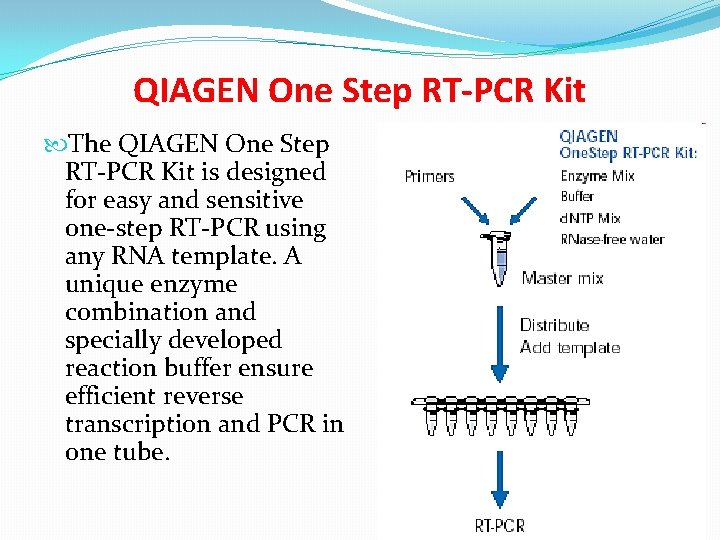 QIAGEN One Step RT-PCR Kit The QIAGEN One Step RT-PCR Kit is designed for