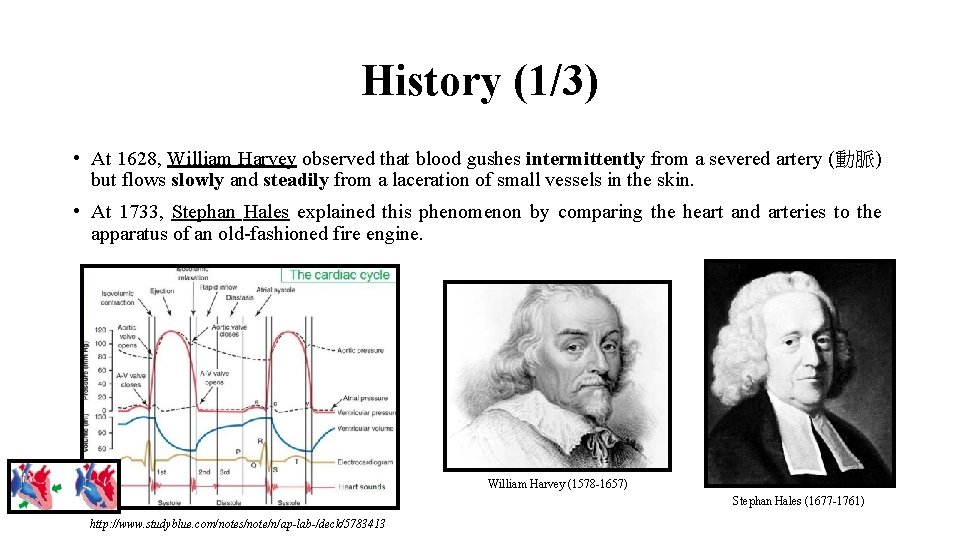 History (1/3) • At 1628, William Harvey observed that blood gushes intermittently from a