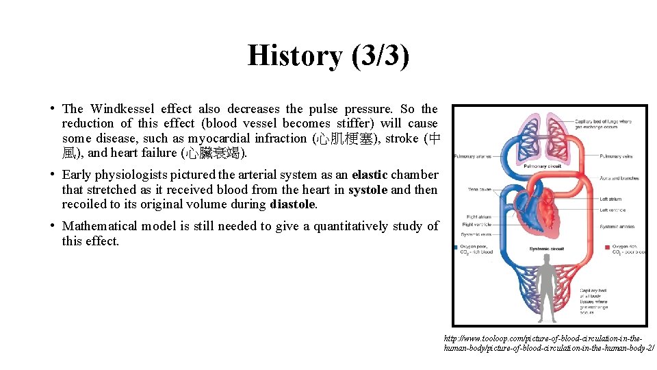 History (3/3) • The Windkessel effect also decreases the pulse pressure. So the reduction