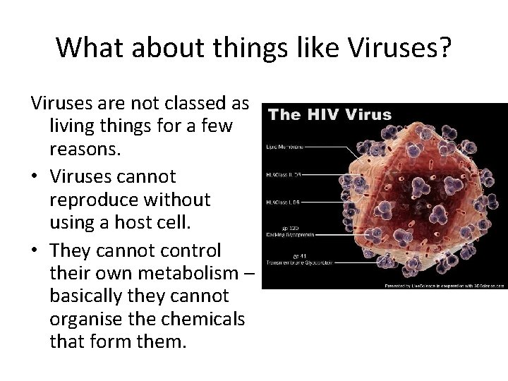 What about things like Viruses? Viruses are not classed as living things for a