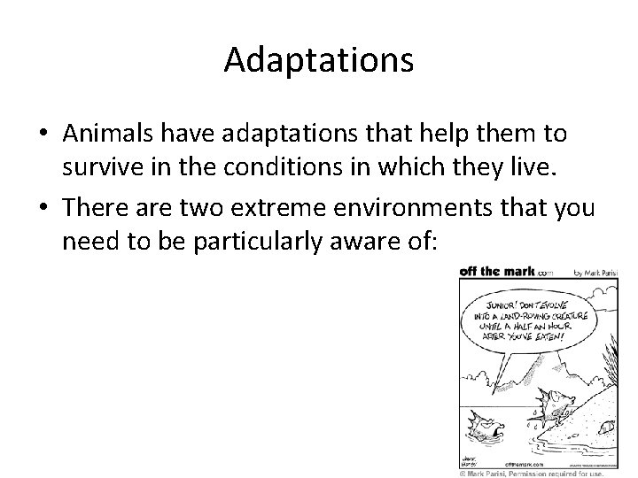 Adaptations • Animals have adaptations that help them to survive in the conditions in