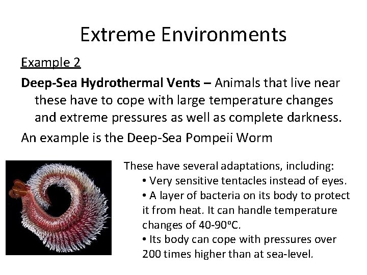 Extreme Environments Example 2 Deep-Sea Hydrothermal Vents – Animals that live near these have