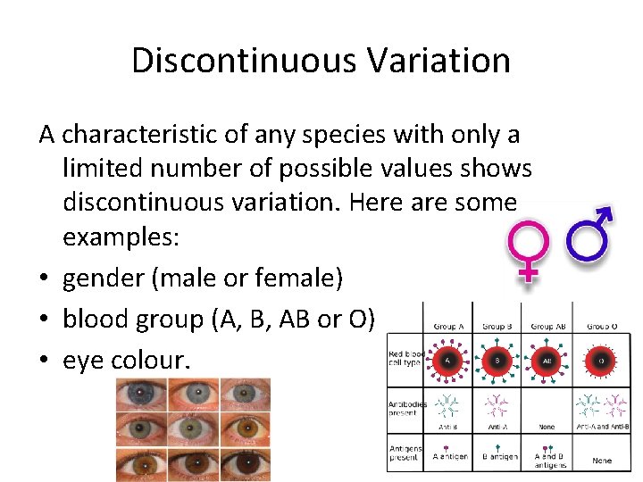 Discontinuous Variation A characteristic of any species with only a limited number of possible