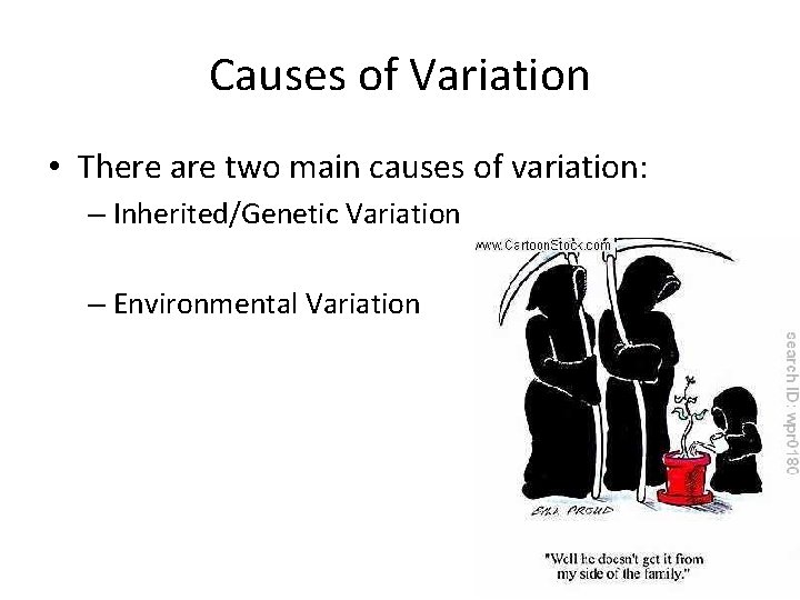 Causes of Variation • There are two main causes of variation: – Inherited/Genetic Variation