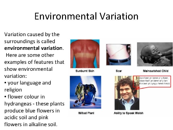 Environmental Variation caused by the surroundings is called environmental variation. Here are some other