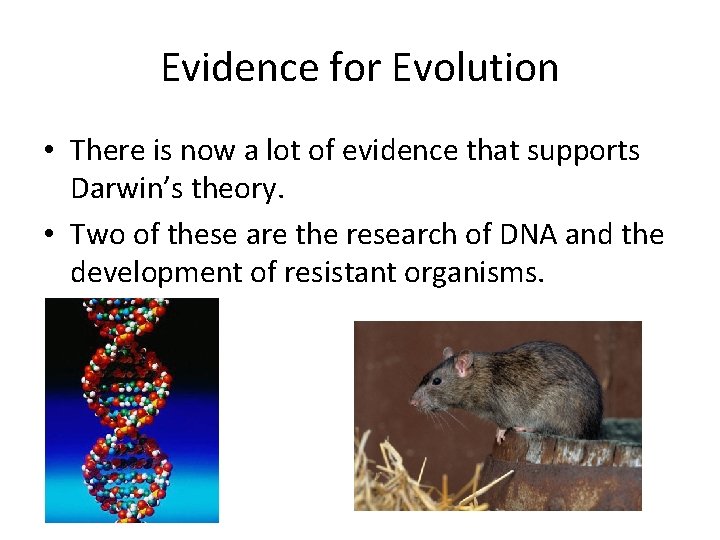 Evidence for Evolution • There is now a lot of evidence that supports Darwin’s