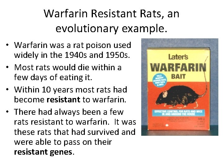 Warfarin Resistant Rats, an evolutionary example. • Warfarin was a rat poison used widely