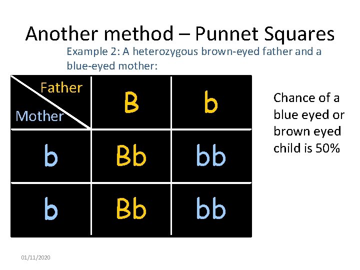 Another method – Punnet Squares Example 2: A heterozygous brown-eyed father and a blue-eyed