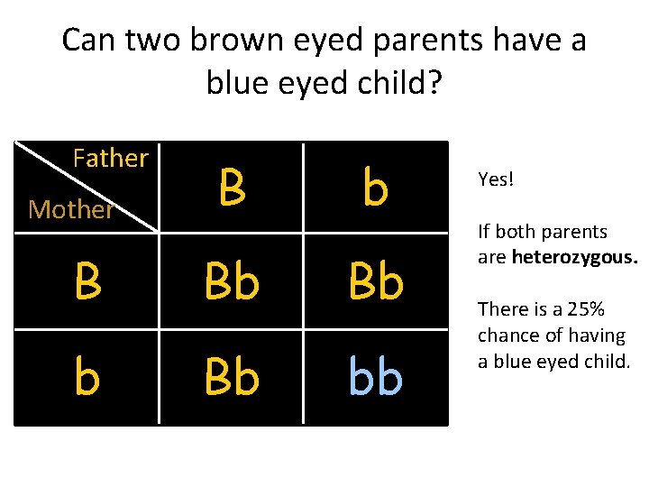 Can two brown eyed parents have a blue eyed child? Father B b B