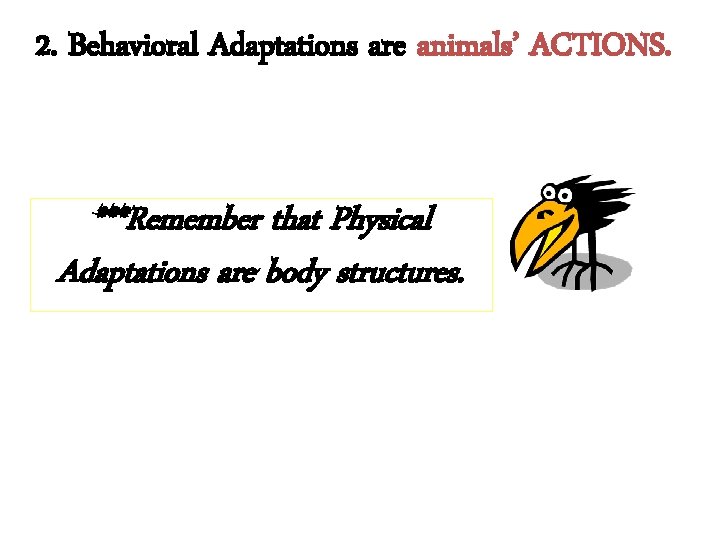 2. Behavioral Adaptations are animals’ ACTIONS. ***Remember that Physical Adaptations are body structures. 