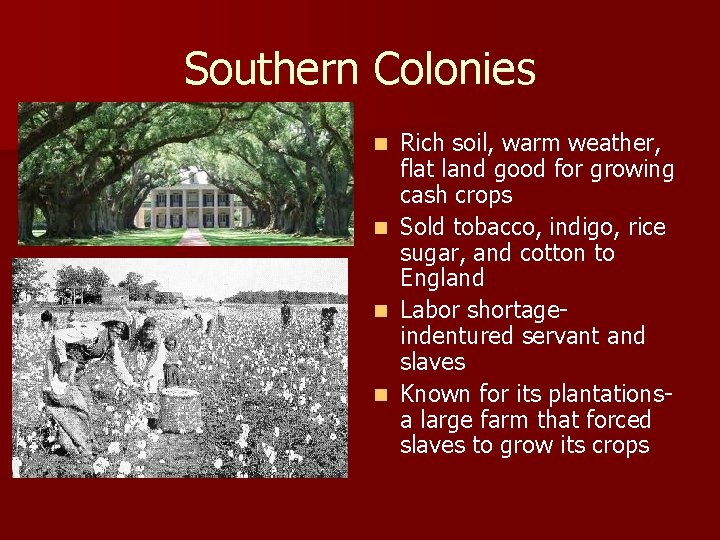 Southern Colonies Rich soil, warm weather, flat land good for growing cash crops n