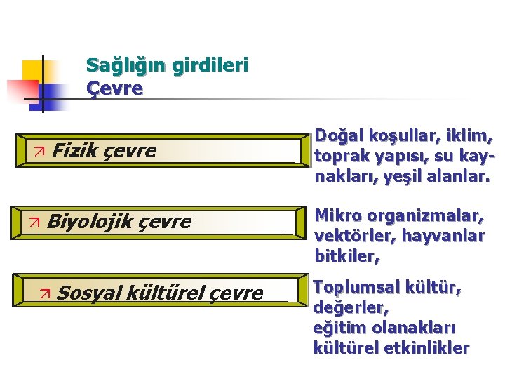 Sağlığın girdileri Çevre ä ä Fizik çevre Biyolojik çevre ä Sosyal kültürel çevre Doğal