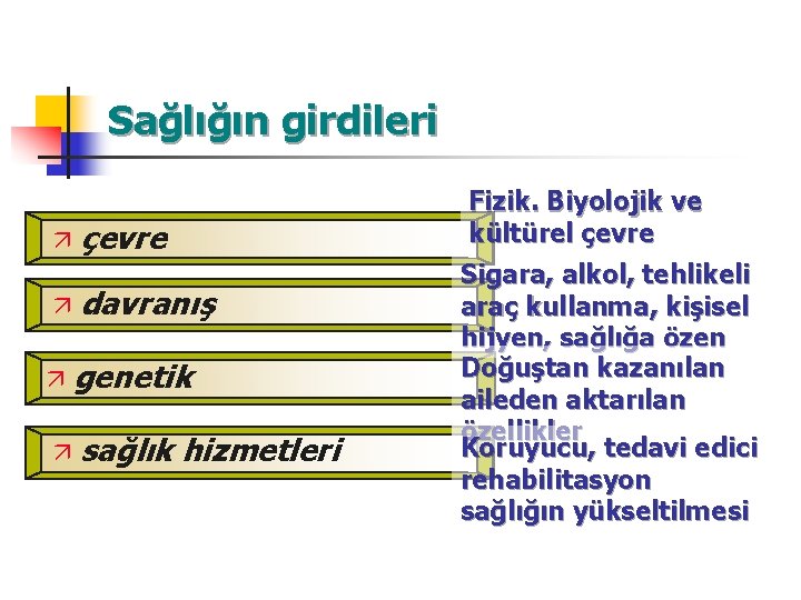 Sağlığın girdileri ä çevre ä davranış ä genetik ä sağlık hizmetleri Fizik. Biyolojik ve