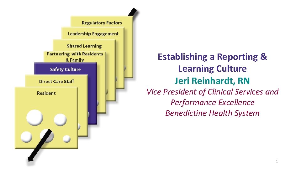 Establishing a Reporting & Learning Culture Jeri Reinhardt, RN Vice President of Clinical Services