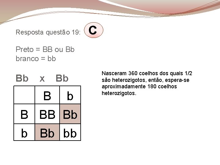 Resposta questão 19: C Preto = BB ou Bb branco = bb Bb x