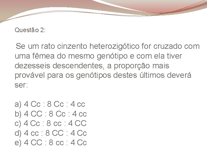 Questão 2: Se um rato cinzento heterozigótico for cruzado com uma fêmea do mesmo