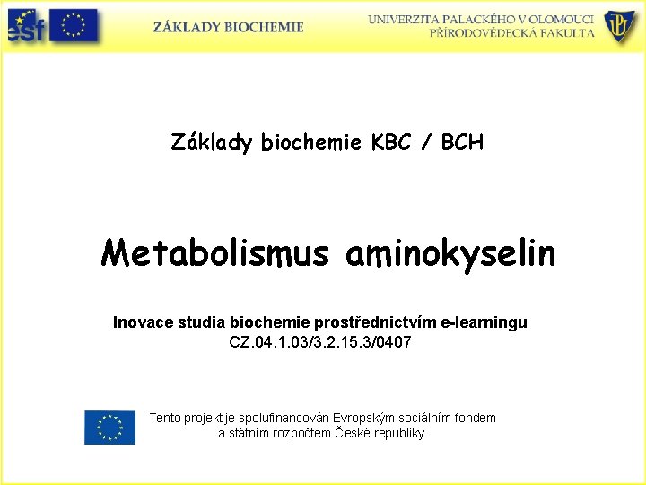 Základy biochemie KBC / BCH Metabolismus aminokyselin Inovace studia biochemie prostřednictvím e-learningu CZ. 04.