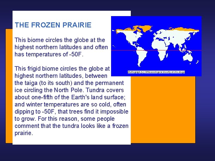 THE FROZEN PRAIRIE This biome circles the globe at the highest northern latitudes and