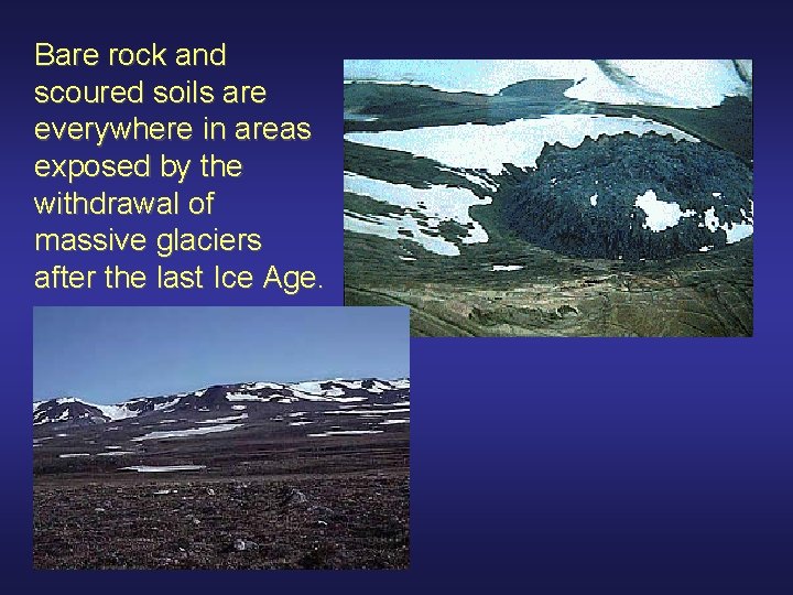 Bare rock and scoured soils are everywhere in areas exposed by the withdrawal of