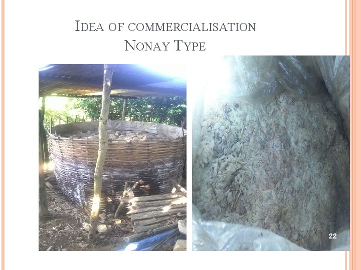 IDEA OF COMMERCIALISATION NONAY TYPE 22 