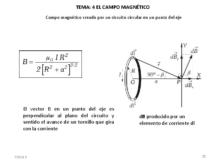 TEMA: 4 EL CAMPO MAGNÉTICO Campo magnético creado por un circuito circular en un