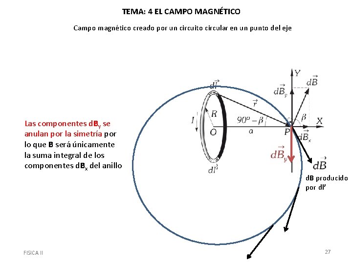 TEMA: 4 EL CAMPO MAGNÉTICO Campo magnético creado por un circuito circular en un