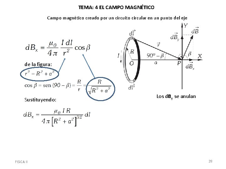 TEMA: 4 EL CAMPO MAGNÉTICO Campo magnético creado por un circuito circular en un