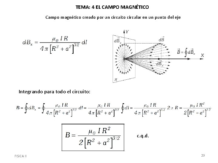 TEMA: 4 EL CAMPO MAGNÉTICO Campo magnético creado por un circuito circular en un