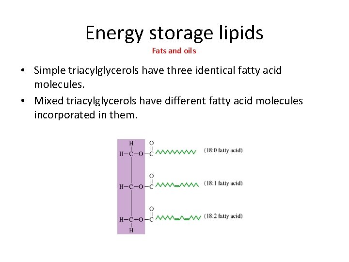 Energy storage lipids Fats and oils • Simple triacylglycerols have three identical fatty acid