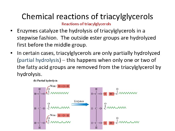 Chemical reactions of triacylglycerols Reactions of triacylglycerols • Enzymes catalyze the hydrolysis of triacylglycerols