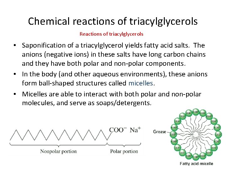 Chemical reactions of triacylglycerols Reactions of triacylglycerols • Saponification of a triacylglycerol yields fatty