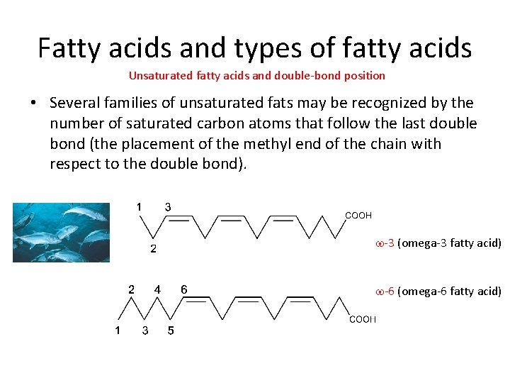 Fatty acids and types of fatty acids Unsaturated fatty acids and double-bond position •