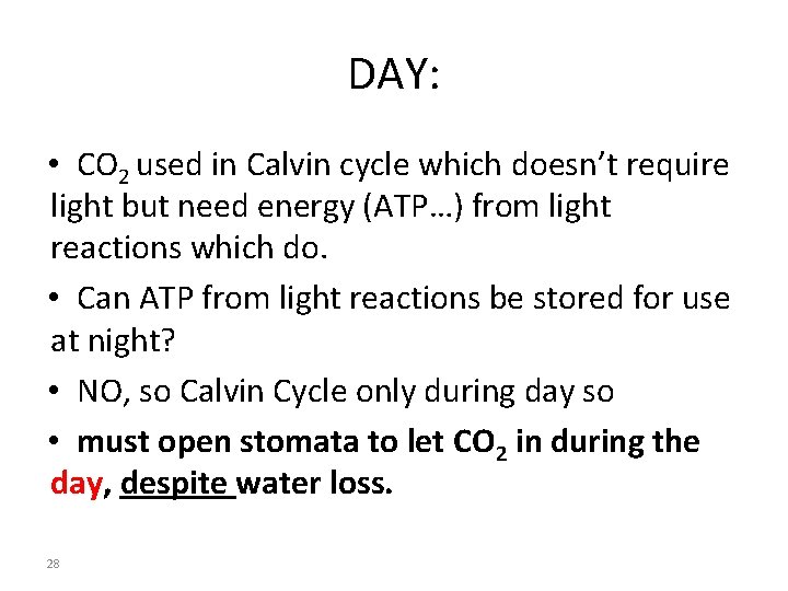 DAY: • CO 2 used in Calvin cycle which doesn’t require light but need