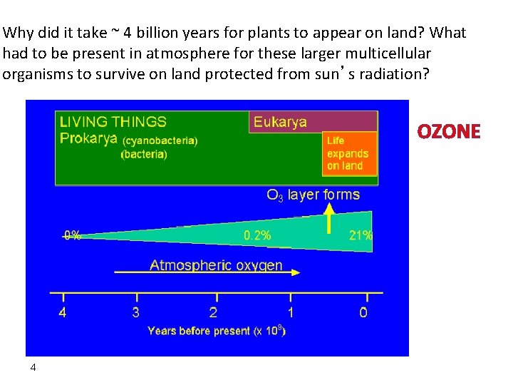 Why did it take ~ 4 billion years for plants to appear on land?