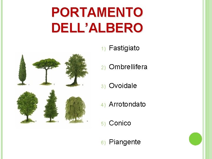 PORTAMENTO DELL’ALBERO 1) Fastigiato 2) Ombrellifera 3) Ovoidale 4) Arrotondato 5) Conico 6) Piangente