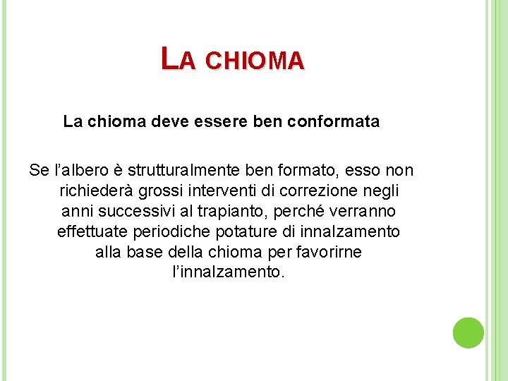 LA CHIOMA La chioma deve essere ben conformata Se l’albero è strutturalmente ben formato,