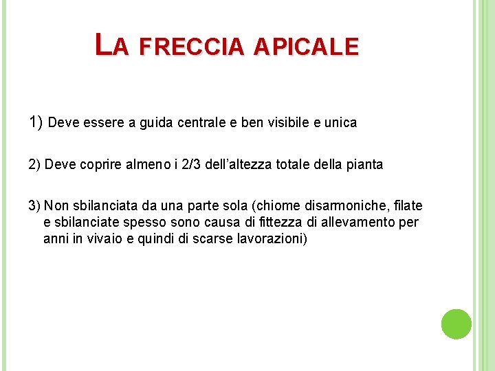 LA FRECCIA APICALE 1) Deve essere a guida centrale e ben visibile e unica