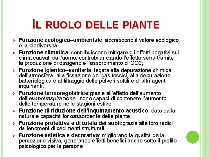 IL RUOLO DELLE PIANTE Ø Ø Ø Ø Funzione ecologico–ambientale: accrescono il valore ecologico