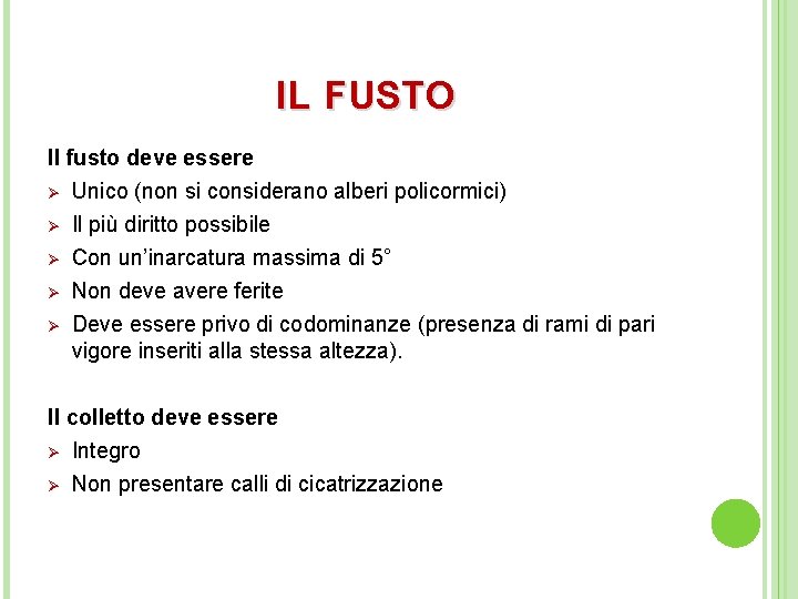 IL FUSTO Il fusto deve essere Ø Unico (non si considerano alberi policormici) Ø